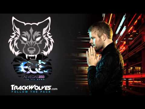 Morgan Page - Live @ Electric Daisy Carnival (Vegas) - 22.06.2013