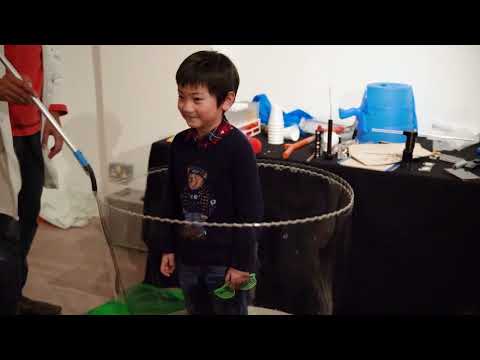 Three Little Birds video.