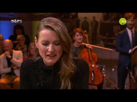 Jazzviolist Didier Lockwood | Podium Witteman