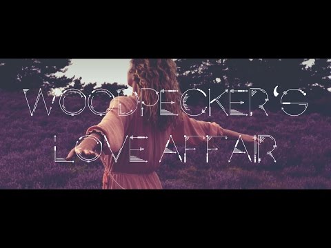 Miyagi, Sascha Braemer, Dan Caster - Woodpeckers Love Affair feat. Jan Blomqvist