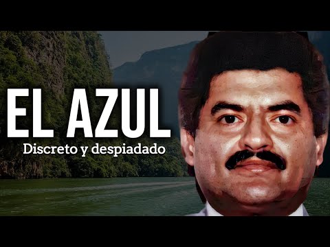 The Blue One - The Dark Truth of the Narco Brain | Documentary