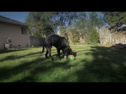 The Foobler now on Kickstarter