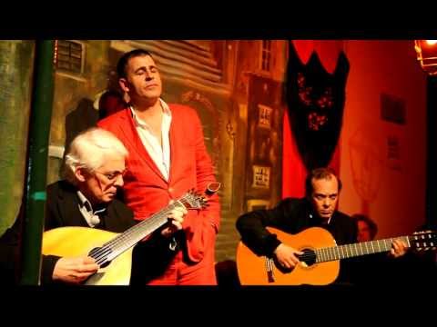Fado, José Matoso, "Tudo para te esquecer"