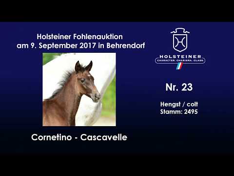 Nr. 23 v. Cornetino - Cascavelle