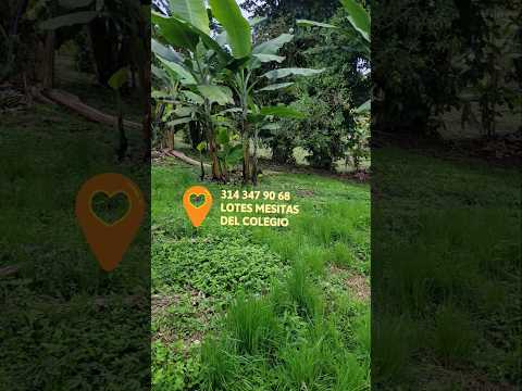 🍀🍀🍀PROYECTO EN MESITAS DEL COLEGIO CUNDINAMARCA, VEREDA LA PITALA 🌺🌺🌺      📲🟢 314 347 90 68