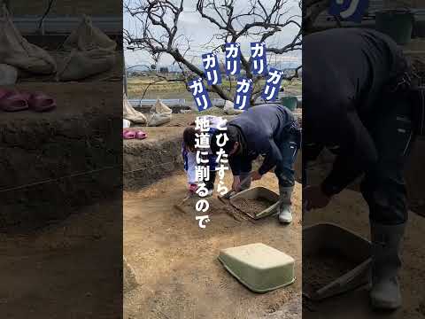 言語文化学科 【奈良大学 文学部 文化財学科】発掘現場で職人技を習得 #奈良大学 #奈良 #shorts