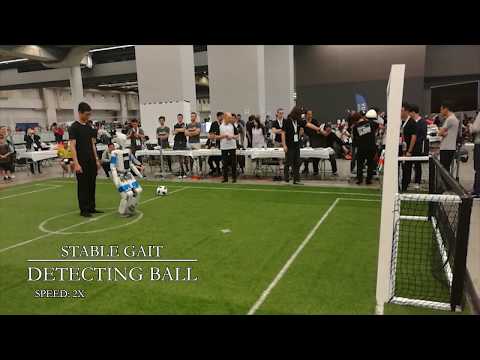 Tsinghua Hephaestus RoboCup 2019 Qualification Video