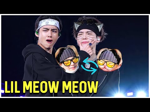 When Yoongi Turns Into Lil Meow Meow