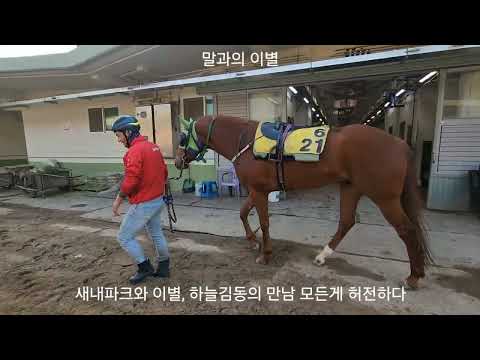 새내파크와 이별, 하늘감동과 만남 뭔가? 허전하다/이래서 조교사 못해 먹겠다고 하나?/명창가수 안소라의 사랑꽃