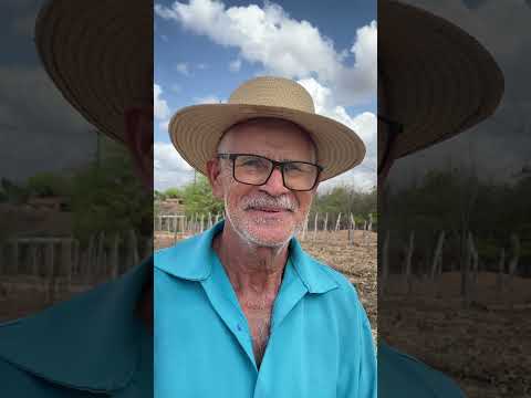 Esperançoso no inverno, seu Domingos  prepara o roçado no sertão do Poço das Pedras, Groaíras/Ce!