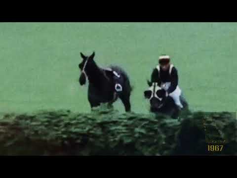 1967 Grand National - Foinavon