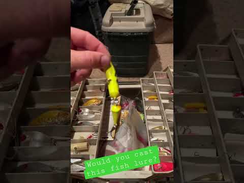 Catch Anything Jointed Rapala Fish Lure