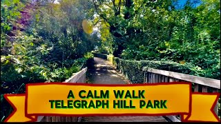 RELAXING PARK WALK #asmr 4K | LONDON TELEGRAPH HILL PARK #asmr