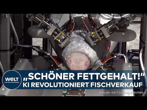 THUNFISCH: KI-Technik revolutioniert Fischverkauf! Neue Verfahren messen Fettgehalt