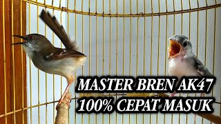 Download lagu 🔴MASTERAN CIBLEK BREN AK47 SUPER JERNIH JAMIN CEPAT MASUK‼️ mp3 Download lagu 🔴MASTERAN CIBLEK BREN AK47 SUPER JERNIH JAMIN CEPAT MASUK‼️ mp3