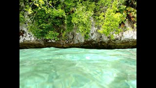 Critical Areas of Action for the Our Ocean Conference