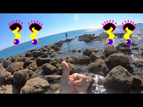 FISHING TRIP SPAIN 1 - HOW DID I LEARN TO FISH!