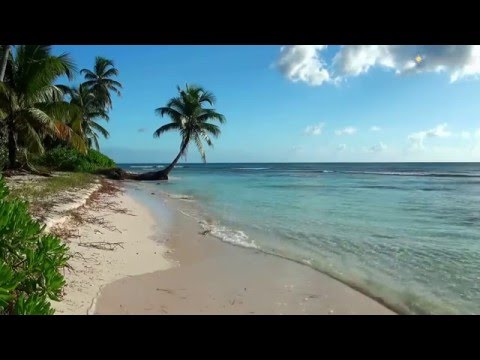 Those Relaxing Sounds of Waves | Ocean Sounds | 1080p HD Video