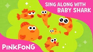 Six Little Fish | Sing Along with Baby Shark | Pinkfong Songs for Children