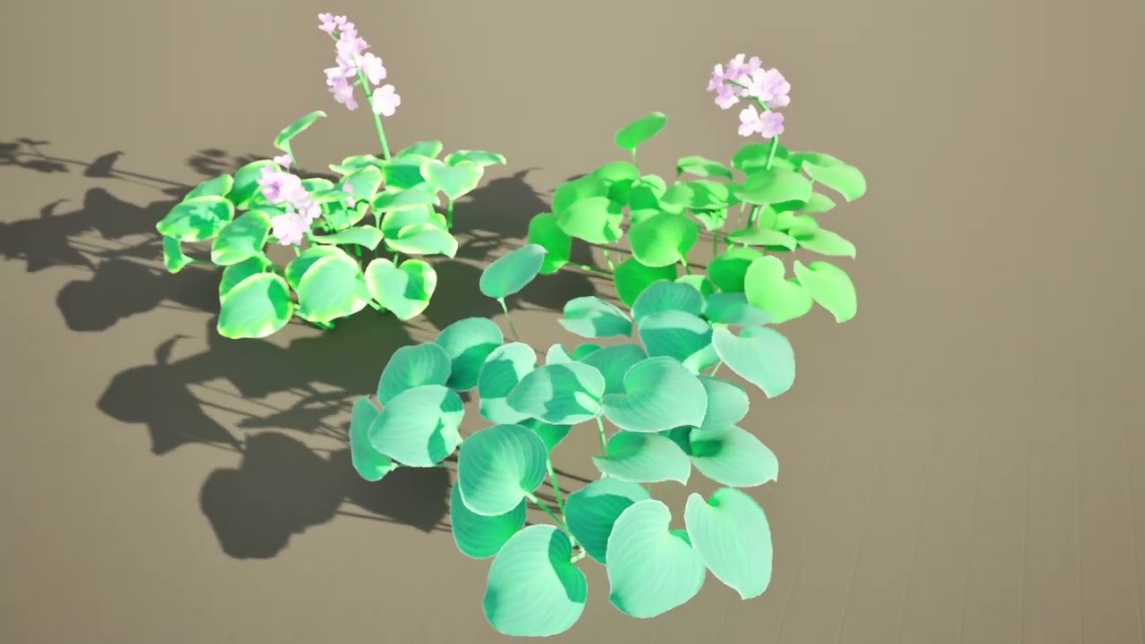 Breathtaking Blue Mouse Ears Hosta in All Seasons 3D Model
