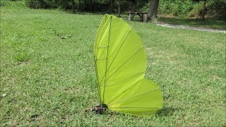 Butterfly 3k3 -2New  Servo direct drive  test flight video 4