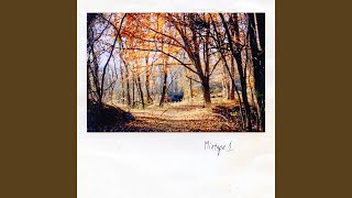 Met You for the First Time