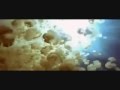 Brian Eno-How Many Worlds.