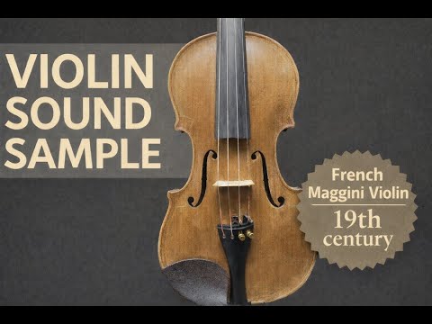 Old French violin Maggini model Late 19th century  - Golden oil varnish image 6