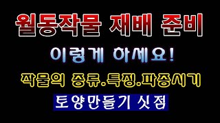 [텃밭농부 1,658]  월동작물재배 준비 이렇게 하세요. 종류와 특징 파종시기 및 토양만들기 싯점. #월동…