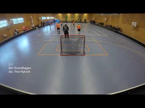 Västsvenska IBF, Damer Div. 2, FBC Vinga D2 - Dingle AIK D2