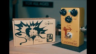 Video thumbnail for CALINE TECHNOLOGY MEDUSA | #OVERDRIVEPEDAL | by All Music X'cess AMX