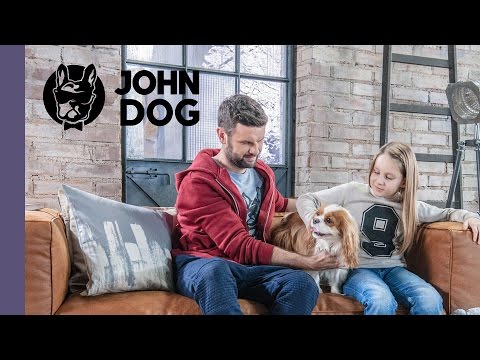 Jak oswoić psa z dzieckiem - TRENING PSA - John Dog