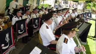 preview picture of video 'IRISH ARMY BAND3 HILLSBOROUGH'