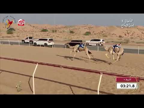   ش 10 (لهب) لـ سعادة فرج علي بن حموده الظاهري 7:43 , شارة الديوان 4 2026/10/25 اللبسه ايذاع 