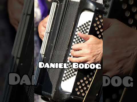 Daniel Bodog * Din Tine am venit iubire