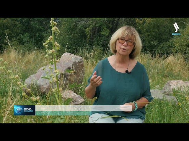 В Казахстане появится уникальный парк петроглифов