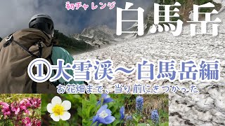 【白馬岳①】大雪渓～白馬岳編