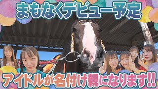 【馬名考えました】アイドルがデビュー目前の馬の名付け親に！命名権を得るのは！？本気のプレゼン対決