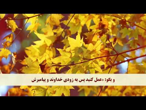 QURAN Farsi-Dari Translation - Juz 11 Complete