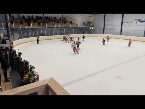 Ilves Detroit - Tappara musta