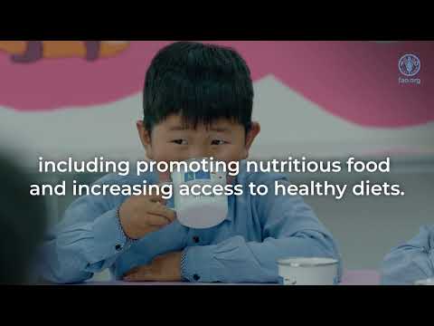 Four Betters: FAO’s Vision for Sustainable Agrifood Systems