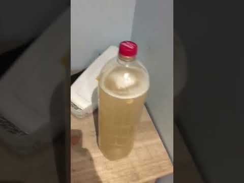 kilju/sugar wine/moonshine ep1