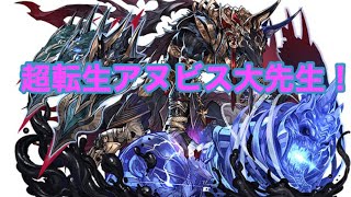練磨の闘技場、ボスの部分だけ動画！