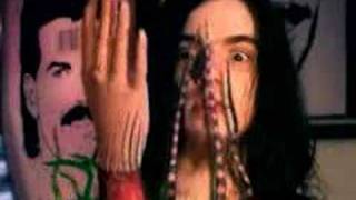 An Albatross "Hairobics/The Ballad of the Electric Coyote"