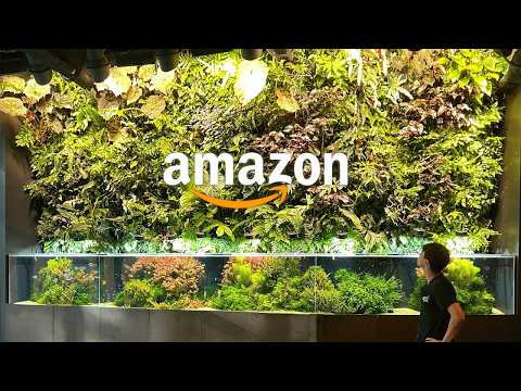 Inside Amazon Headquarters | Private Aquariums Tour
