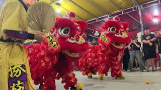吧生勝藝龍狮体育会 @ 巴生衛星市真武殿 真武大帝聖誕千秋 Lion Dance @ Klang Temple (2/2) 20250517