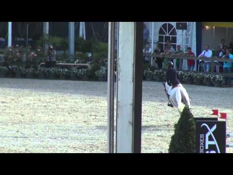 Clicksem (Cardino x Littorio) - Sires of The World Lanaken