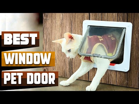 Best Pet Door for Window In 2021 - Top 10 Pet Door for Windows Review