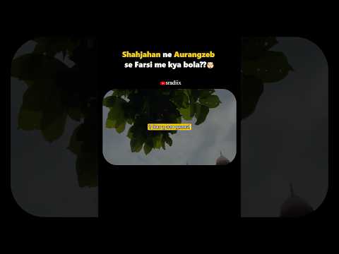 What did Shahjahan say in Farsi??🤯 #agra #tajmahal #shahjahan #tajmahalhistory #ytshorts #youtube