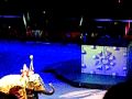 Circus 2010 022 Avi